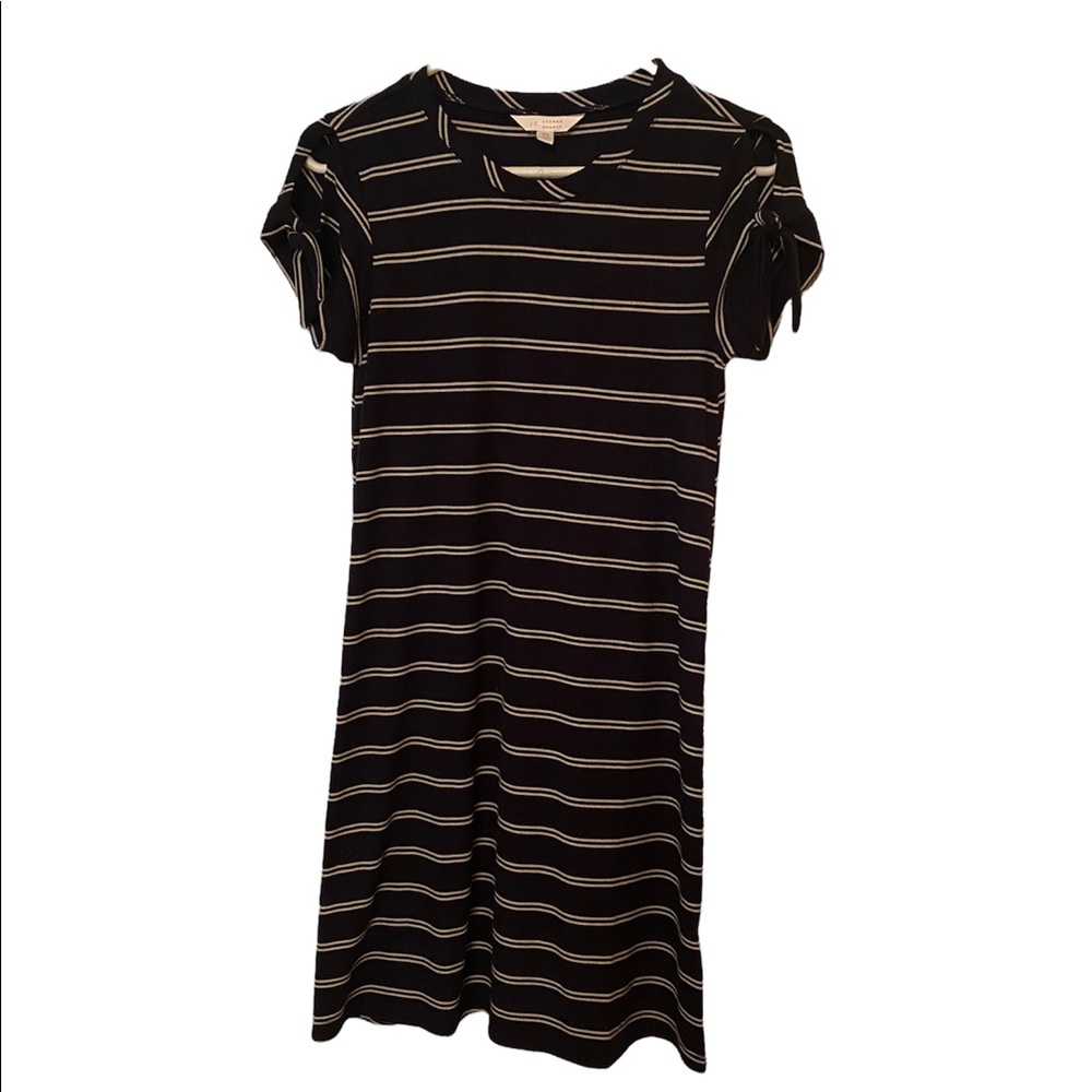 Lauren Conrad XS Navy Blue and White dress